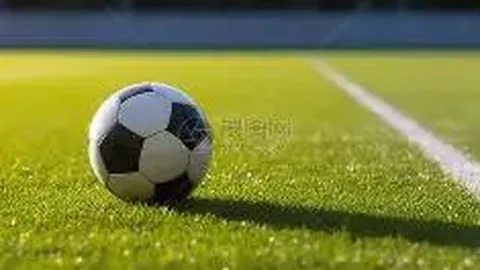 【独家揭秘】2026年第022期3D神算组合，精准杀号定胆，直击头奖盛宴！